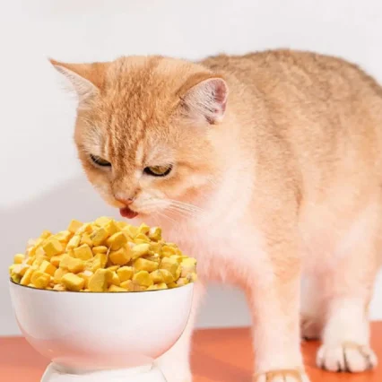 40g Freeze Dried Egg Yolk Granules Beautify Smoothing Cat Food Freeze-dried Snacks Healthy To Pet Hair Safe Pets Cat V8Z3