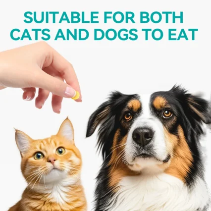 chanbuni Dog Food Pet Dog Diet Snack Supplements for Dogs Pet Treats Vitamins Puppy Free Shipping Multivitamin Tablets for Pets