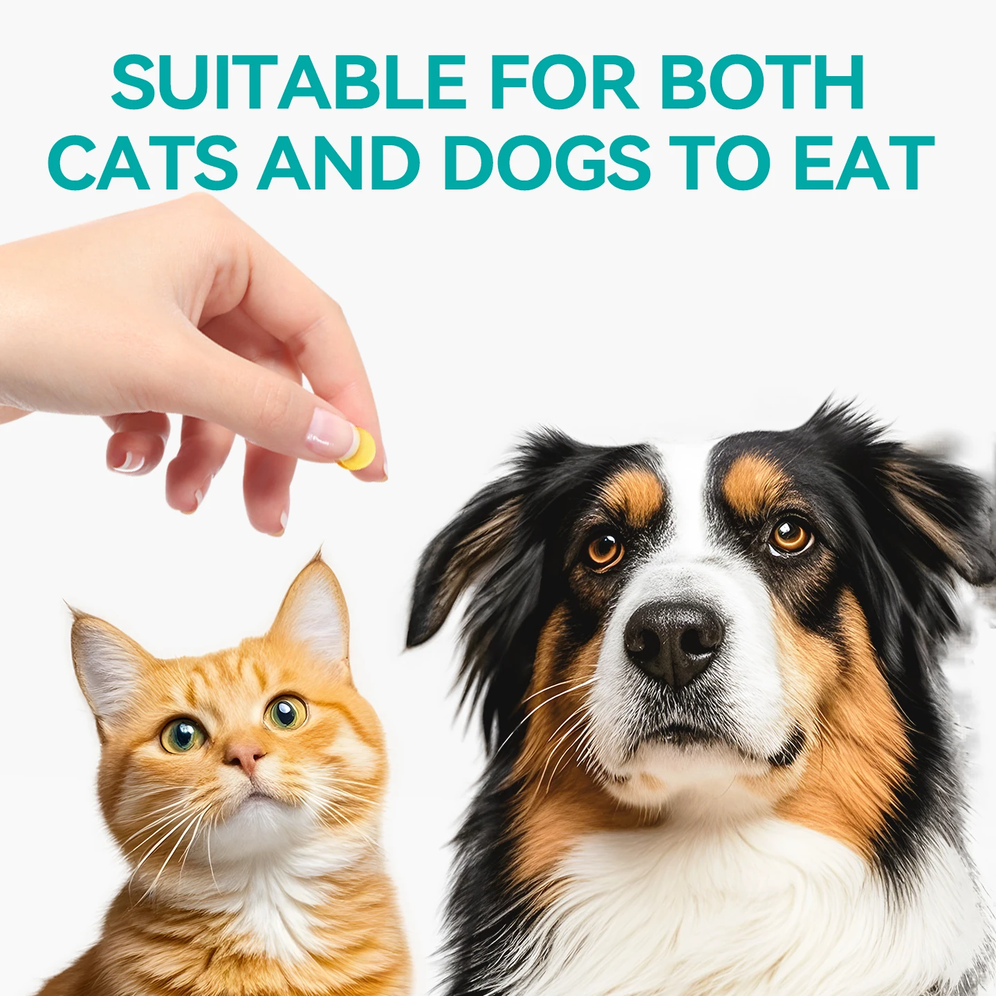 chanbuni Dog Food Pet Dog Diet Snack Supplements for Dogs Pet Treats Vitamins Puppy Free Shipping Multivitamin Tablets for Pets