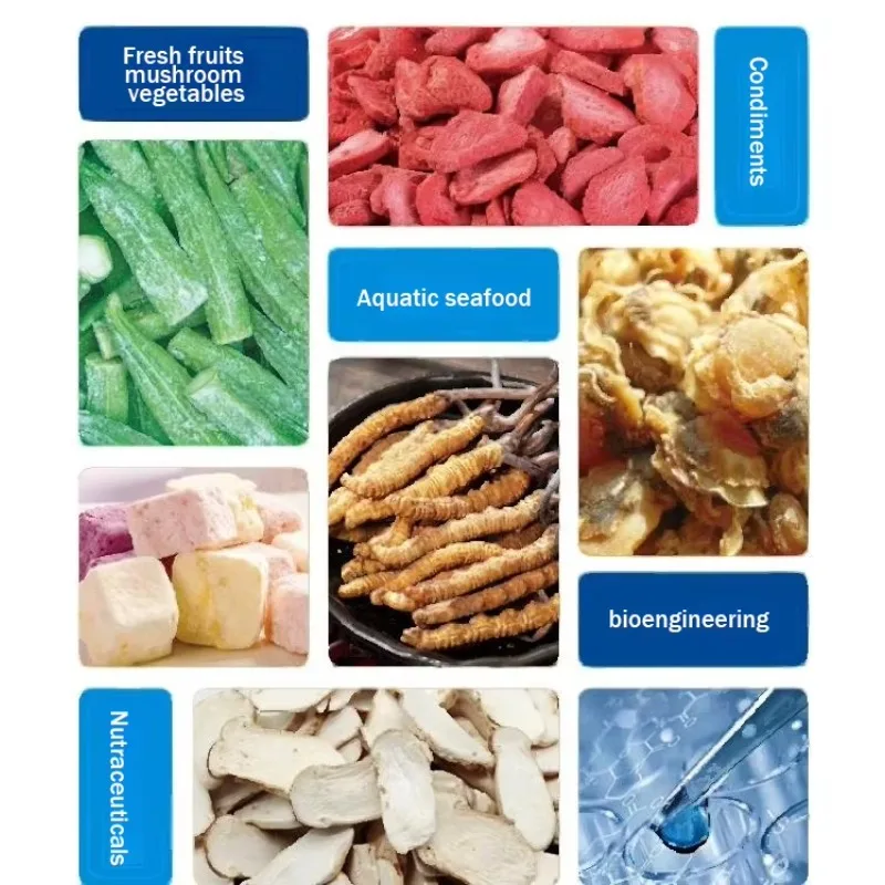 2025 Best Quality Freeze Dryer Fruit Best-seller Freeze Dryer Australia for Pet Food - Image 6